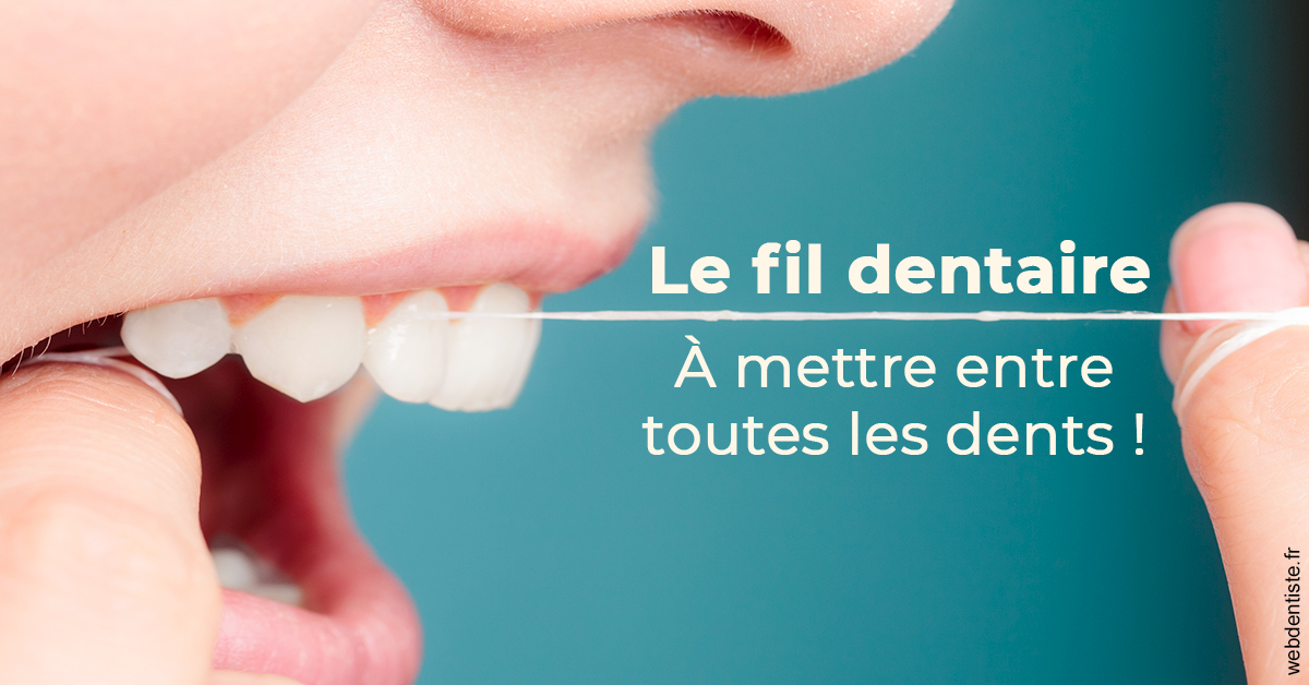 https://dr-ann-dorothee-mougin-claudon.chirurgiens-dentistes.fr/Le fil dentaire 2
