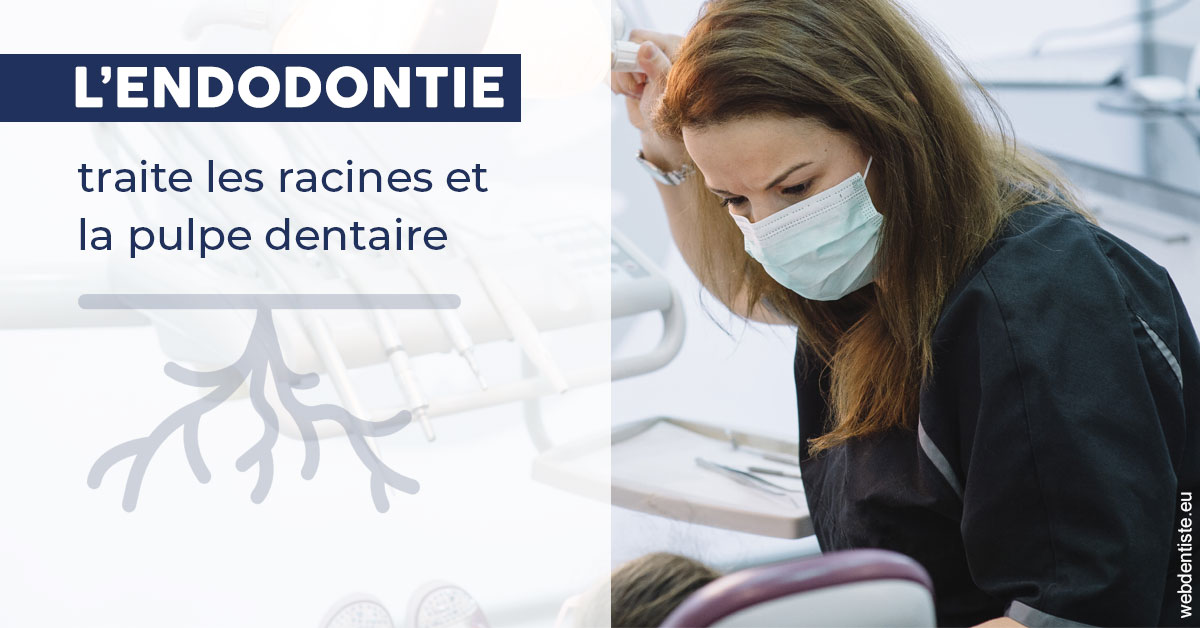 https://dr-ann-dorothee-mougin-claudon.chirurgiens-dentistes.fr/L'endodontie 1