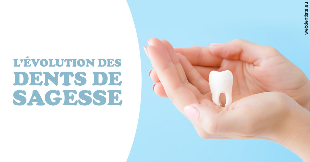 https://dr-ann-dorothee-mougin-claudon.chirurgiens-dentistes.fr/Evolution dents de sagesse 1