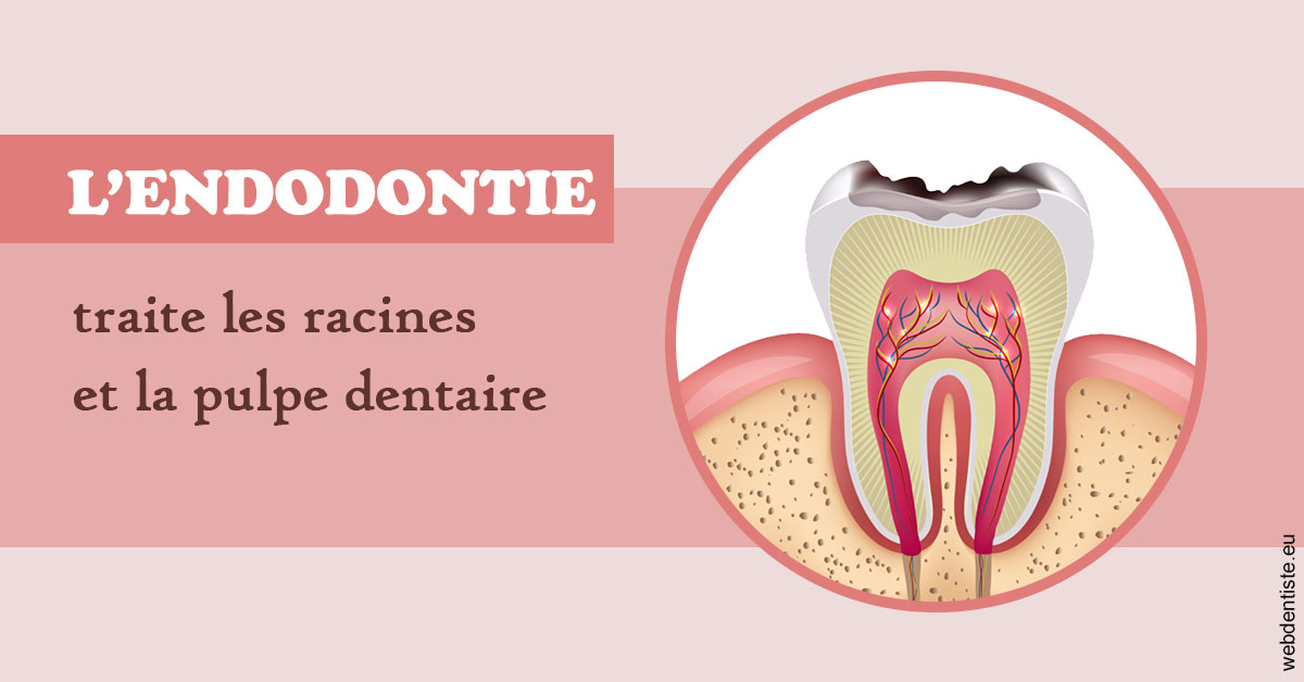 https://dr-ann-dorothee-mougin-claudon.chirurgiens-dentistes.fr/L'endodontie 2