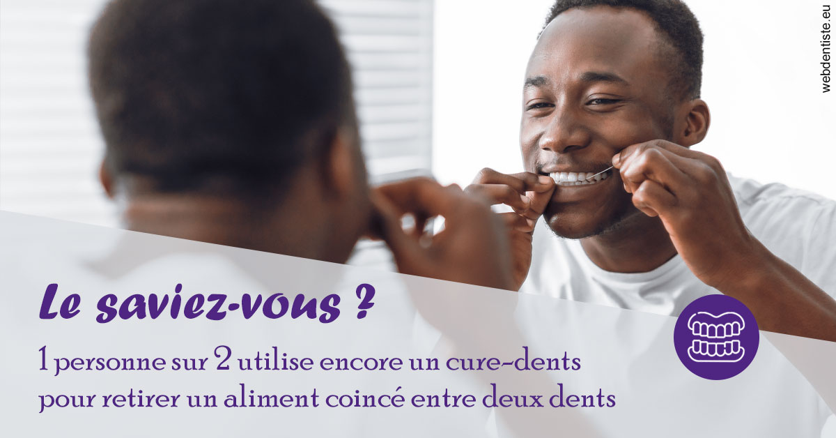 https://dr-ann-dorothee-mougin-claudon.chirurgiens-dentistes.fr/Cure-dents 2