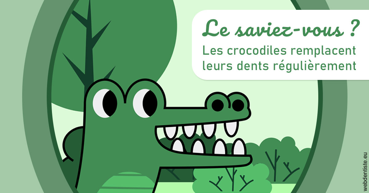 https://dr-ann-dorothee-mougin-claudon.chirurgiens-dentistes.fr/Crocodiles 2