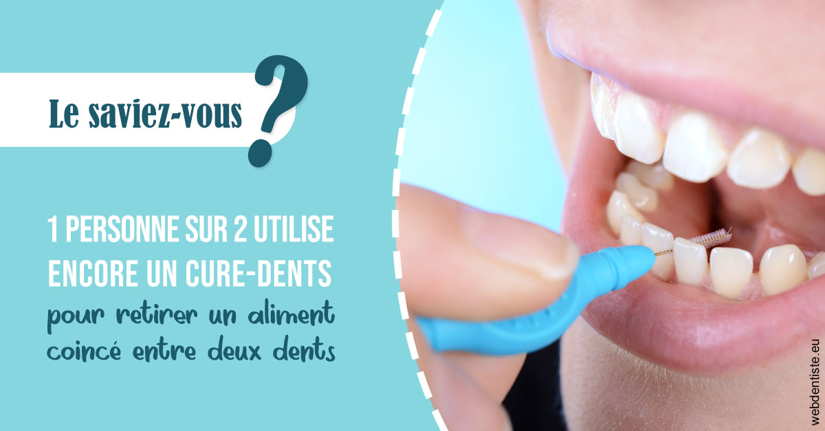 https://dr-ann-dorothee-mougin-claudon.chirurgiens-dentistes.fr/Cure-dents 1