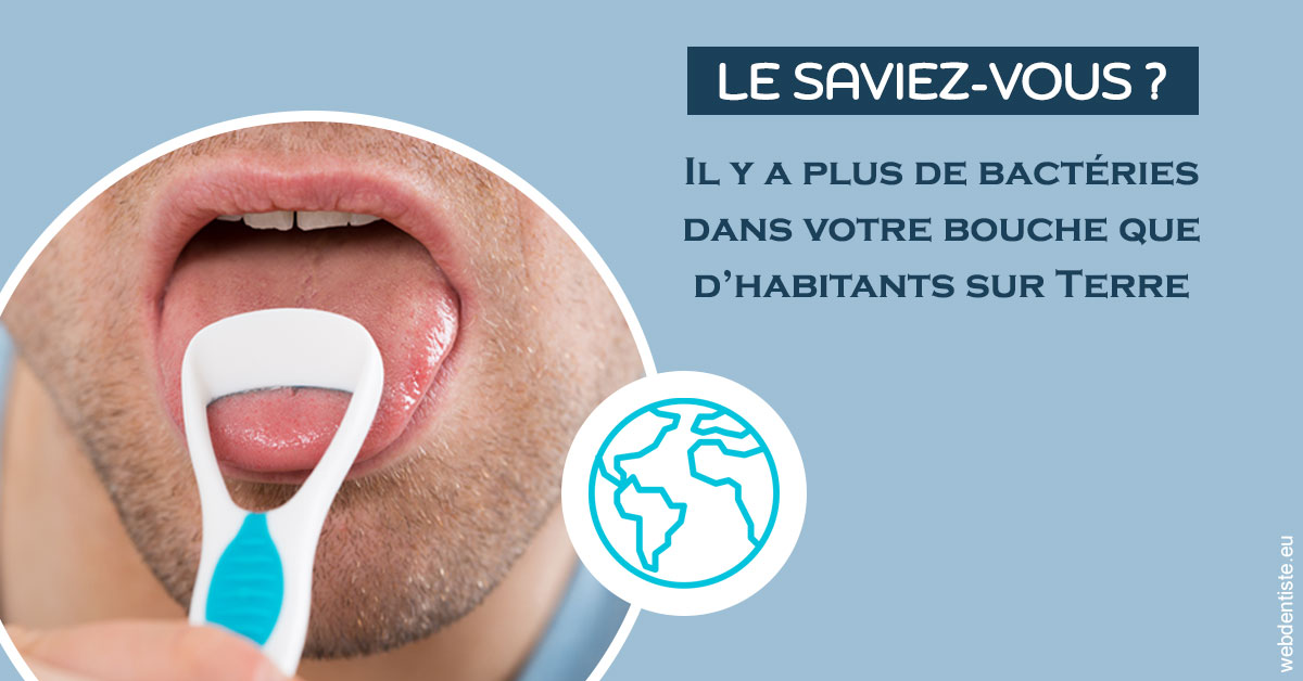 https://dr-ann-dorothee-mougin-claudon.chirurgiens-dentistes.fr/Bactéries dans votre bouche 2
