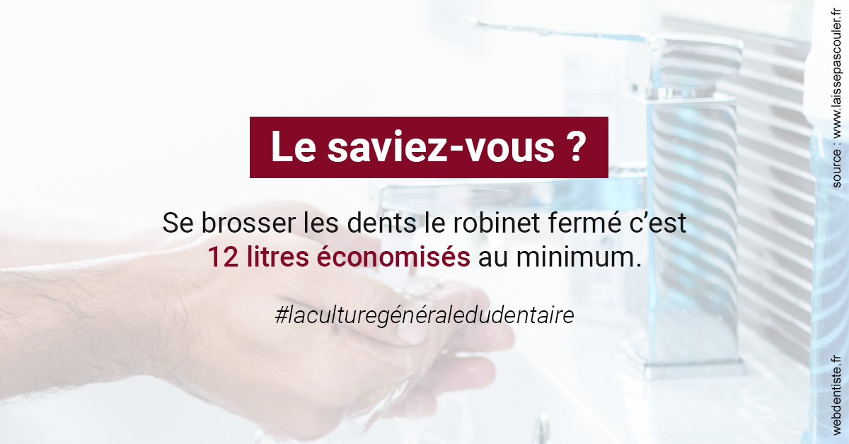 https://dr-ann-dorothee-mougin-claudon.chirurgiens-dentistes.fr/Economies d'eau 2