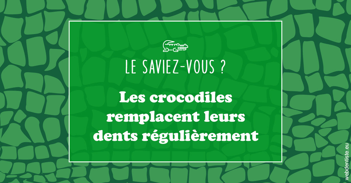 https://dr-ann-dorothee-mougin-claudon.chirurgiens-dentistes.fr/Crocodiles 1