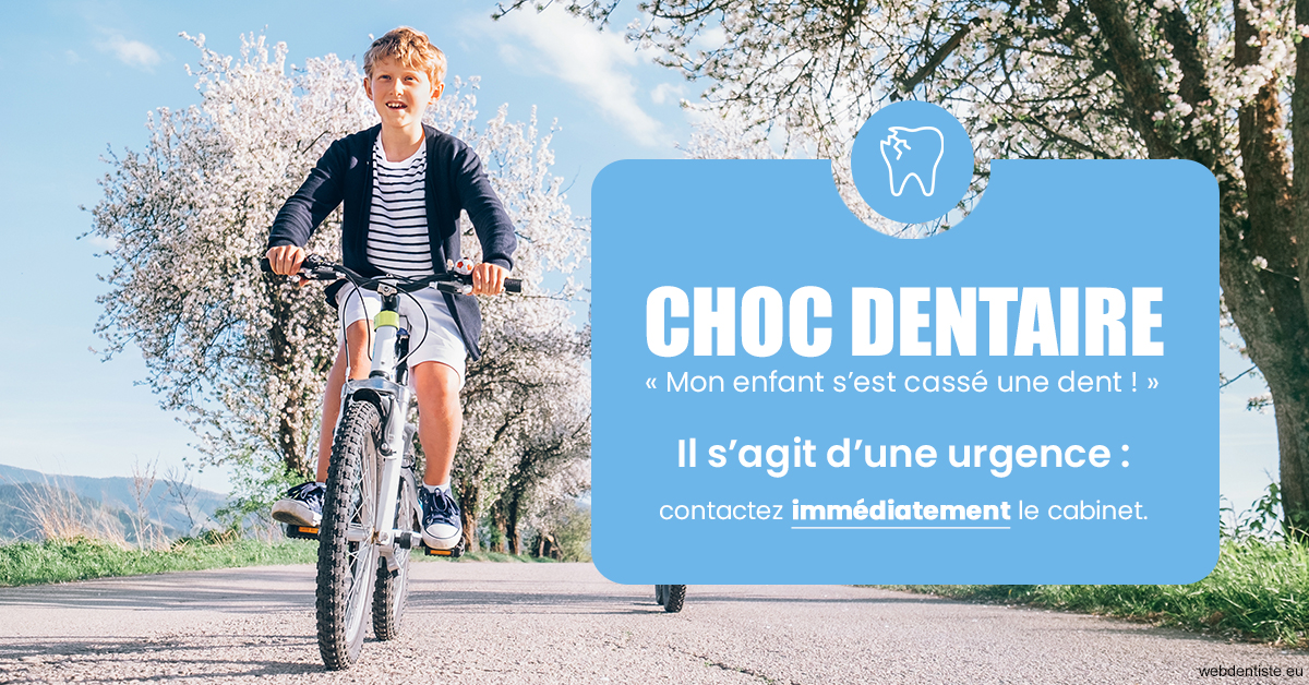 https://dr-ann-dorothee-mougin-claudon.chirurgiens-dentistes.fr/T2 2023 - Choc dentaire 1